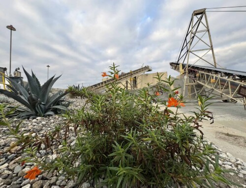 CALPORTLAND RECOGNIZED BY TANDEM GLOBAL FOR ENVIRONMENTAL EXCELLENCE